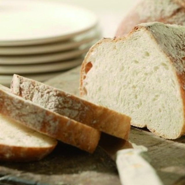 Gamma 300 MXI Zeelandia