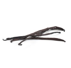 Vainas de Vainilla Bourbon Madagascar BIO 16-20