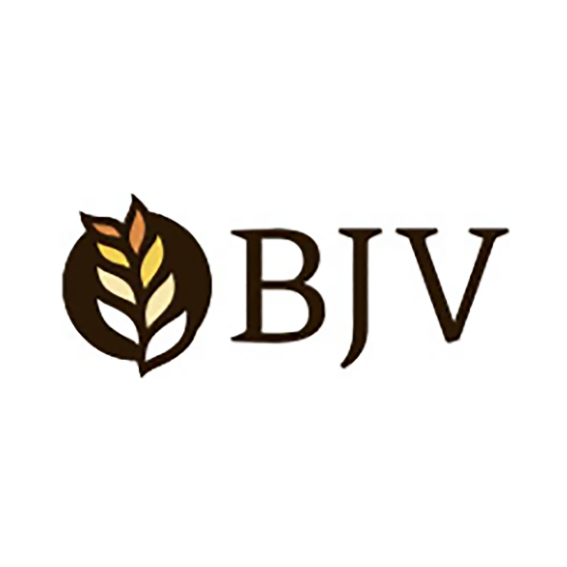 BJV
